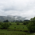 Newzealand_20191106-144739_4951.jpg