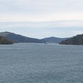 Newzealand_20191107-145021_5060.jpg