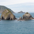 Newzealand_20191107-151911_5079.jpg