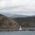 Newzealand_20191107-170128_5163.jpg