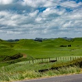 Newzealand_20191111-134231_5372.jpg
