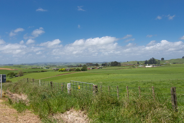 Newzealand 20191111-134416 5377