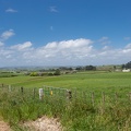 Newzealand_20191111-134416_5377.jpg