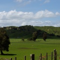 Newzealand_20191111-140703_5381.jpg