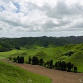 Newzealand_20191111-142508_5388.jpg