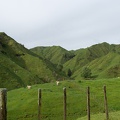 Newzealand_20191111-173440_5403.jpg