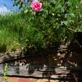 Newzealand_20191113-093947_5755.jpg