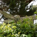Newzealand_20191113-101239_5814.jpg