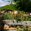 Newzealand_20191113-101818_5822.jpg