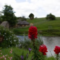 Newzealand_20191113-103129_5847.jpg