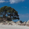 Newzealand_20191113-163926_5912.jpg