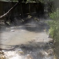 Newzealand_20191114-125144_6120.jpg