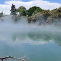 Newzealand_20191114-125430_125429.jpg