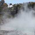 Newzealand_20191114-125650_6126.jpg