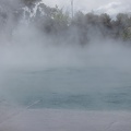 Newzealand_20191114-125752_6129.jpg