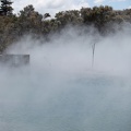 Newzealand_20191114-130830_6138.jpg