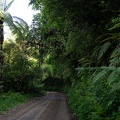 Newzealand_20191114-150723_6155.jpg