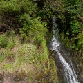 Newzealand_20191114-181203_6166.jpg