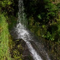 Newzealand_20191114-181242_6175.jpg