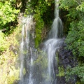 Newzealand_20191114-182652_6196.jpg