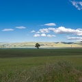 Newzealand_20191115-175517_6287.jpg