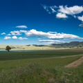 Newzealand_20191115-175520_6288.jpg