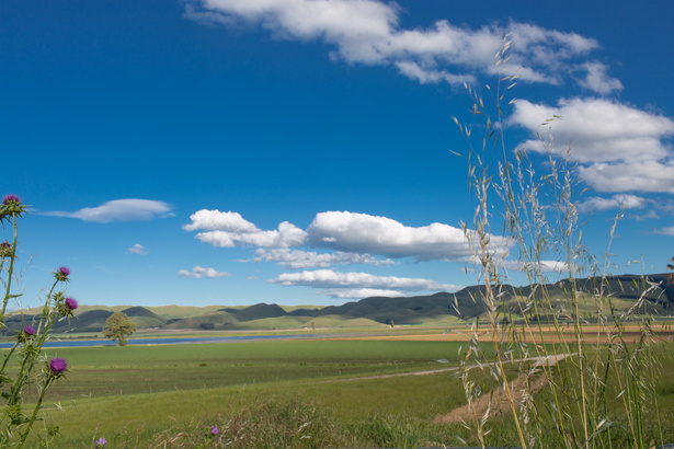 Newzealand 20191115-180223 6316
