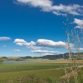 Newzealand_20191115-180223_6316.jpg
