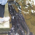 Newzealand_20191116-134118_6380.jpg