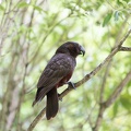 Newzealand_20191116-145537_6469.jpg