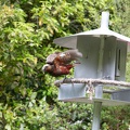 Newzealand_20191116-150208_6510.jpg