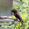 Newzealand_20191116-150233_6515.jpg