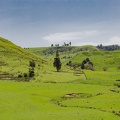 Newzealand_20191122-115843_7100.jpg