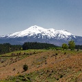Newzealand_20191122-122556_7127.jpg