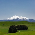 Newzealand_20191122-122743_7138.jpg