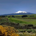 Newzealand_20191122-123055_123054.jpg
