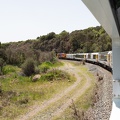 Newzealand_20191122-133505_7217.jpg