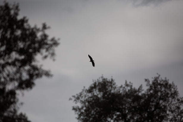 Andalusien 20150326-151149 7889