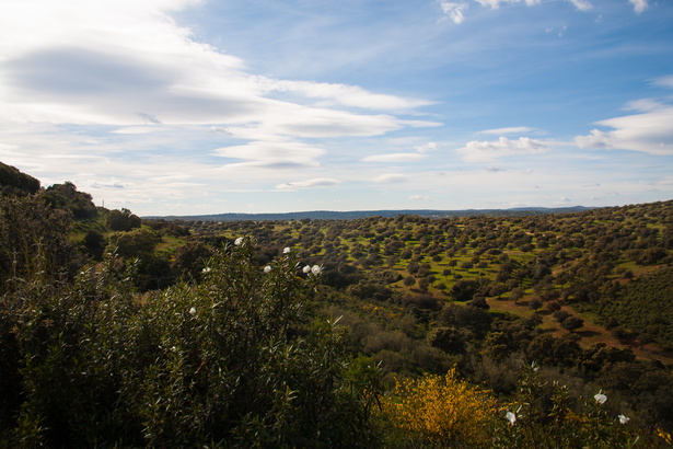 Andalusien 20150326-164650 7903