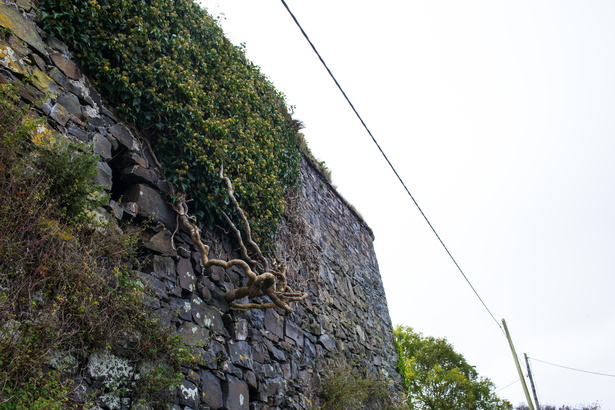 Irland 20161026-134641 6044