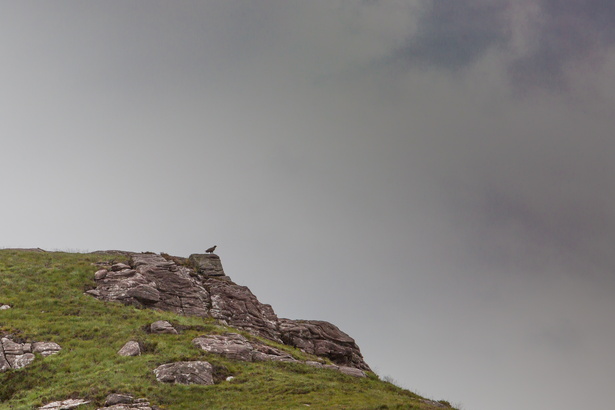 Scotland 20180717-115036 2051