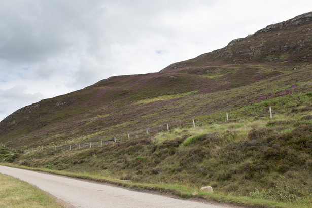 Scotland 20180718-113026 2315