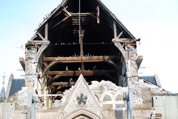 Newzealand 20191104-191336 4832