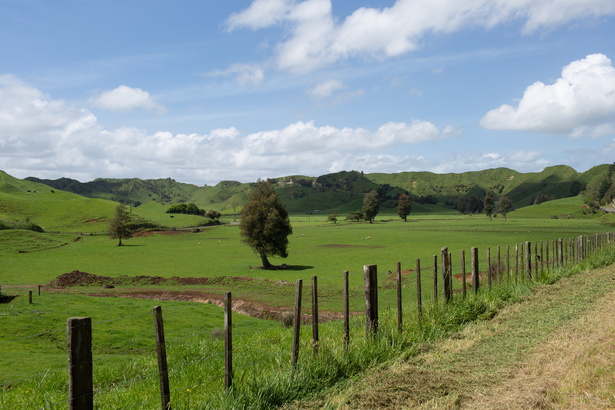 Newzealand 20191111-140734 5385