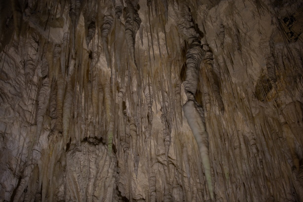 Newzealand 20191112-133618 5553