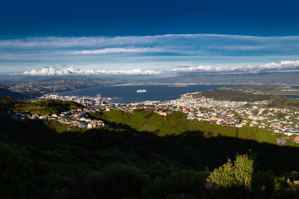 Newzealand 20191118-190636 6593